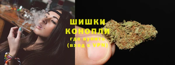 ПСИЛОЦИБИНОВЫЕ ГРИБЫ Бородино