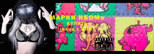 СК Бронницы