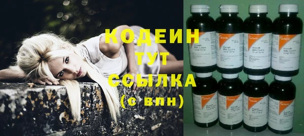 ПСИЛОЦИБИНОВЫЕ ГРИБЫ Бородино