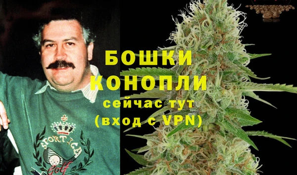 СК Бронницы