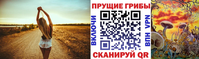 хочу наркоту  Хабаровск  blacksprut как войти  Галлюциногенные грибы мухоморы 